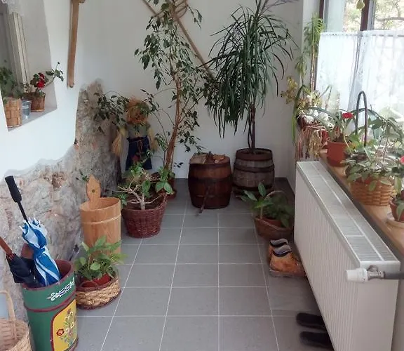 U Slunecne Brany Pensión Františkovy Lázně